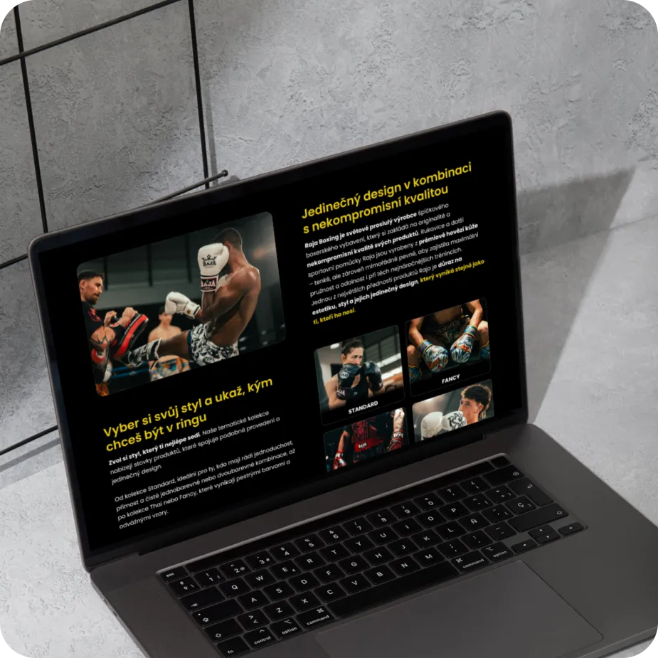 Reference-Rajaboxing-desktop-1