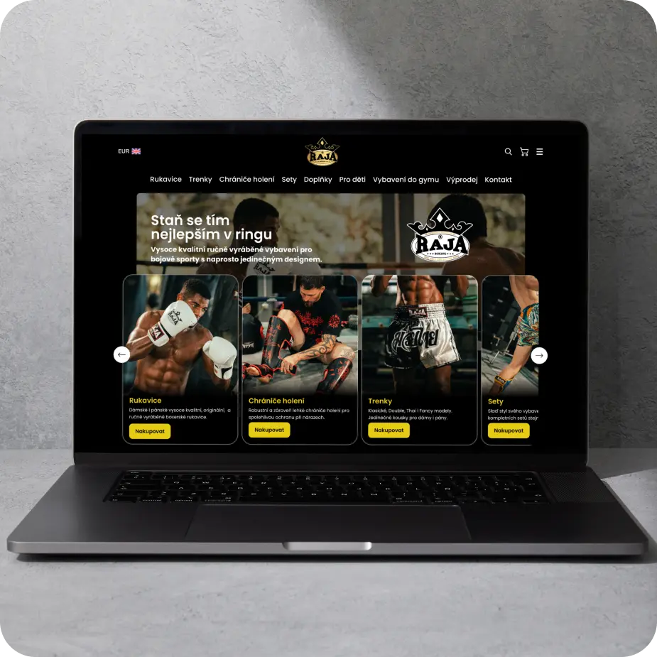 Reference-Rajaboxing-desktop-2