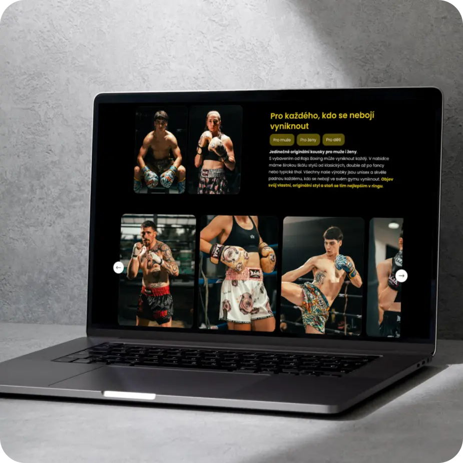 Reference-Rajaboxing-desktop-3