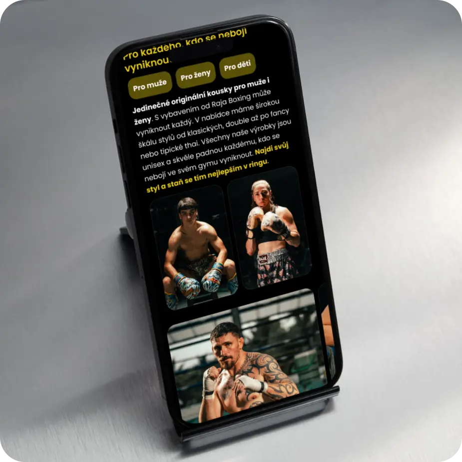 Reference-Rajaboxing-mobil-1