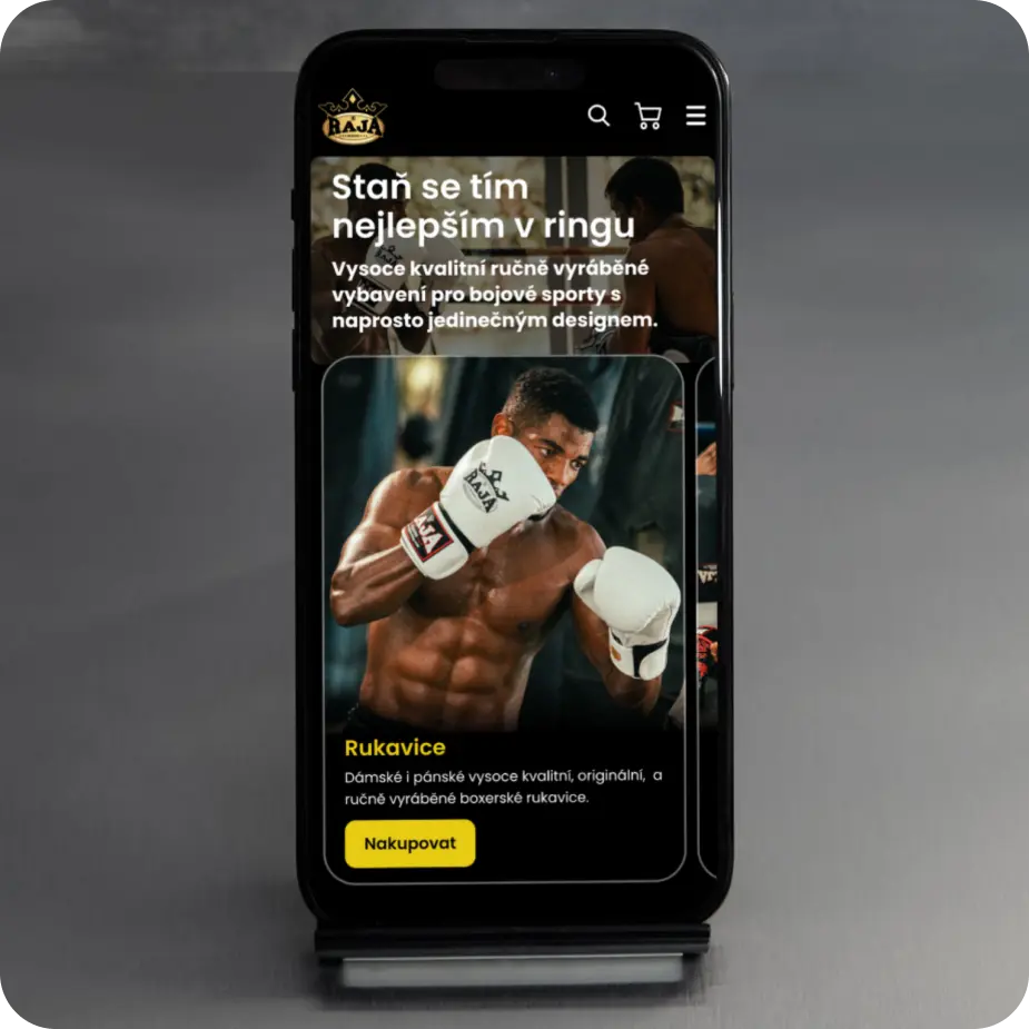 Reference-Rajaboxing-mobil-2