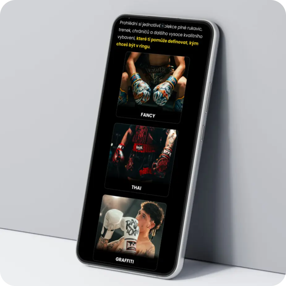 Reference-Rajaboxing-mobil-3