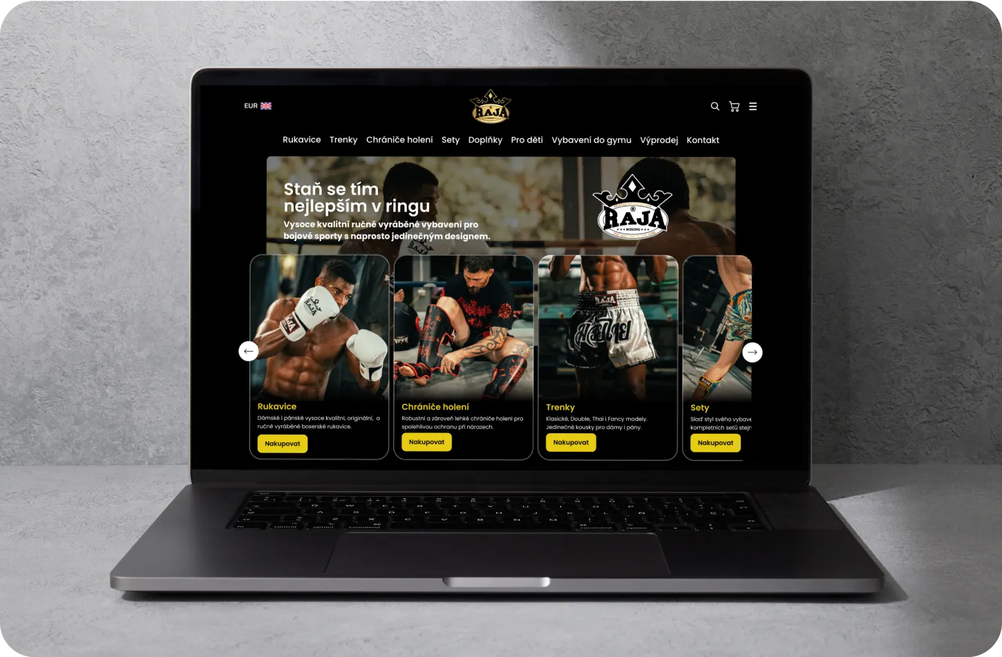 Ukázkový projekt - Rajaboxing